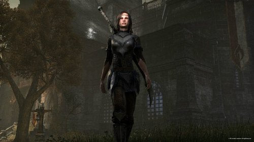 The Elder Scrolls Online (PS4)