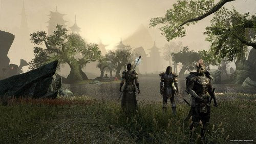 The Elder Scrolls Online (PS4)