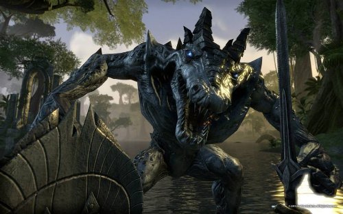 The Elder Scrolls Online (PS4)