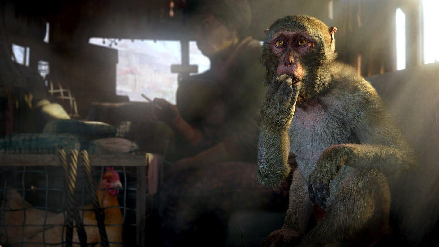 Far Cry 4 - PS4