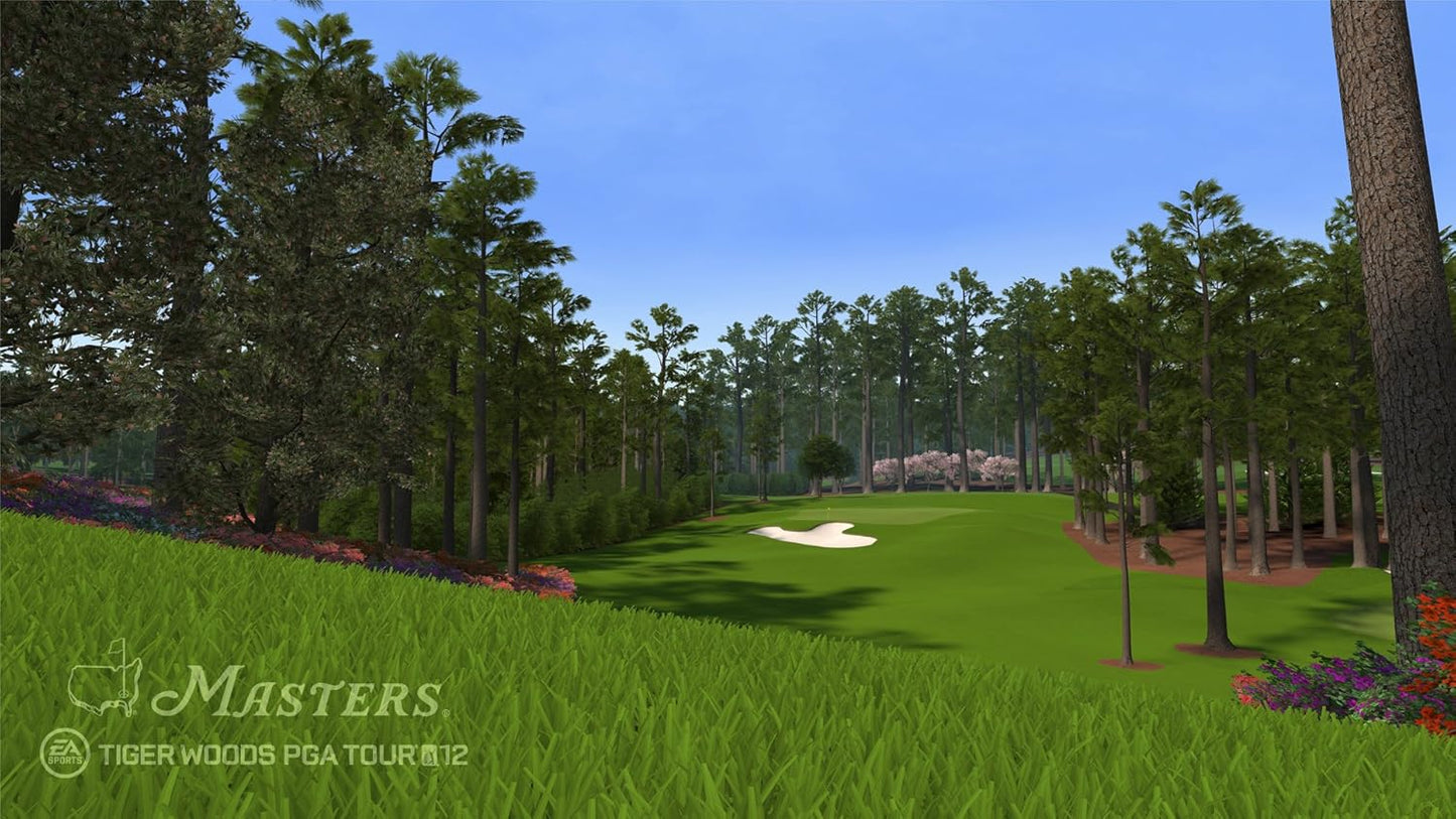 Tiger Woods PGA Tour 12: The Masters (PS3)