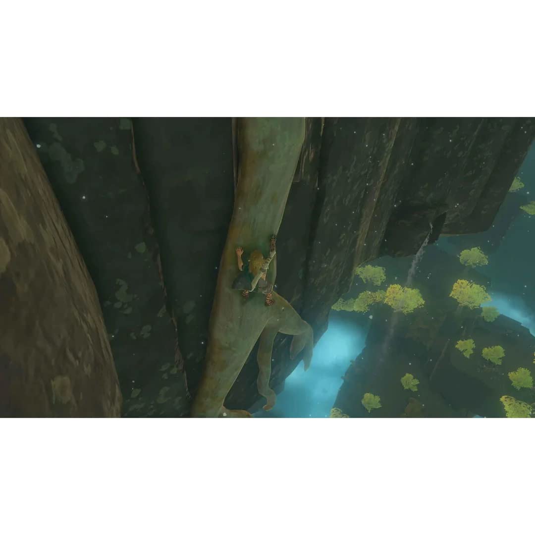Nintendo The Legend Of Zelda: Tears Of The Kingdom - Switch [Video Game] [Video Game] [Video Game]