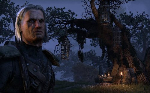 The Elder Scrolls Online (PS4)