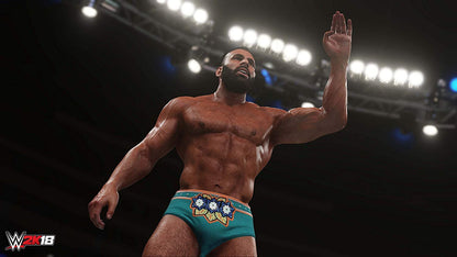 WWE 2K18 (PS4)