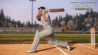 Don Bradman Cricket 14 (PS3)