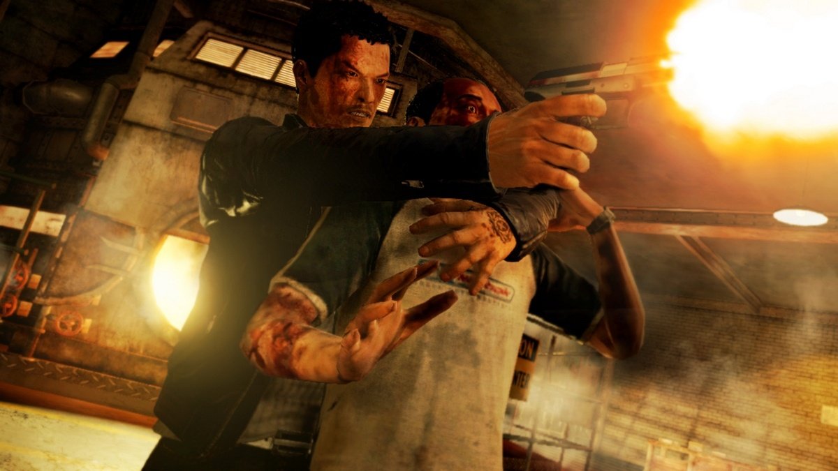 Sleeping Dogs (PS3)