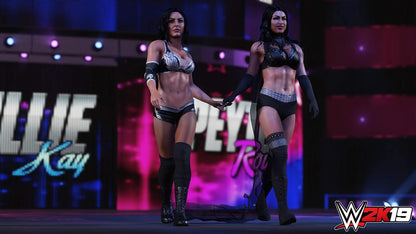 WWE 2K19 (PS4)