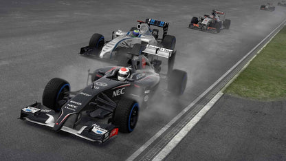 formula 1 (F1 ) 2014 (PC DVD)