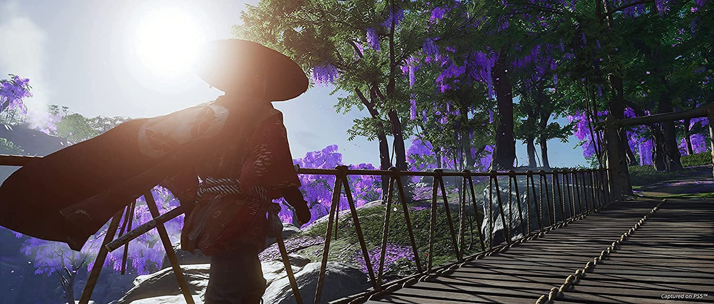 Ghost of Tsushima Director’s Cut | (PS5)