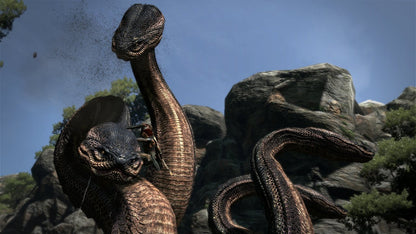 Dragon's Dogma (PS3)