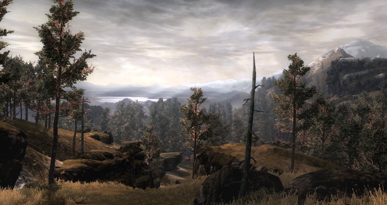 Lord of the Rings: War in the North (PC)
