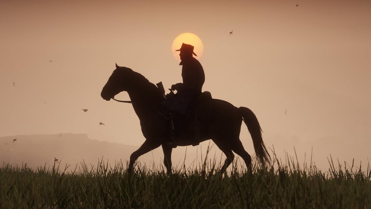 Red Dead Redemption 2 PS4