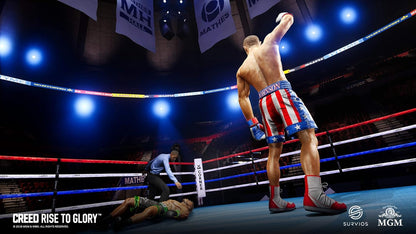 Creed Rise to Glory (PSVR) (PS4)
