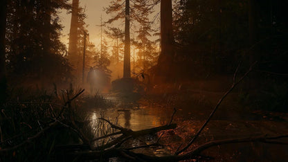 U & I Entertainment Alan Wake 2 | Deluxe edition |PlayStation 5