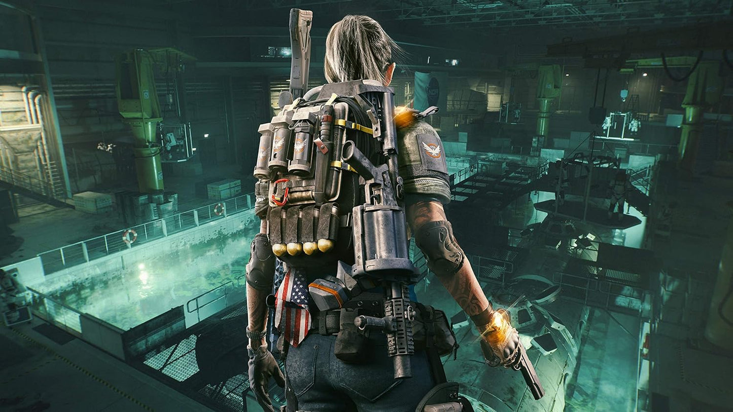 The Division 2 (PS4)