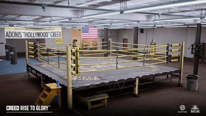 Creed Rise to Glory (PSVR) (PS4)