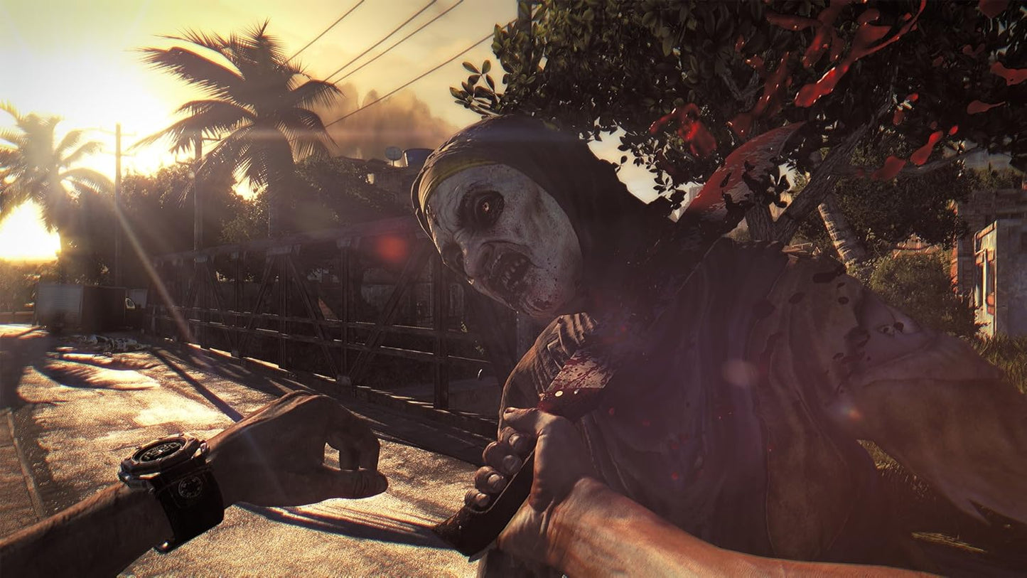 Dying Light (PS4)