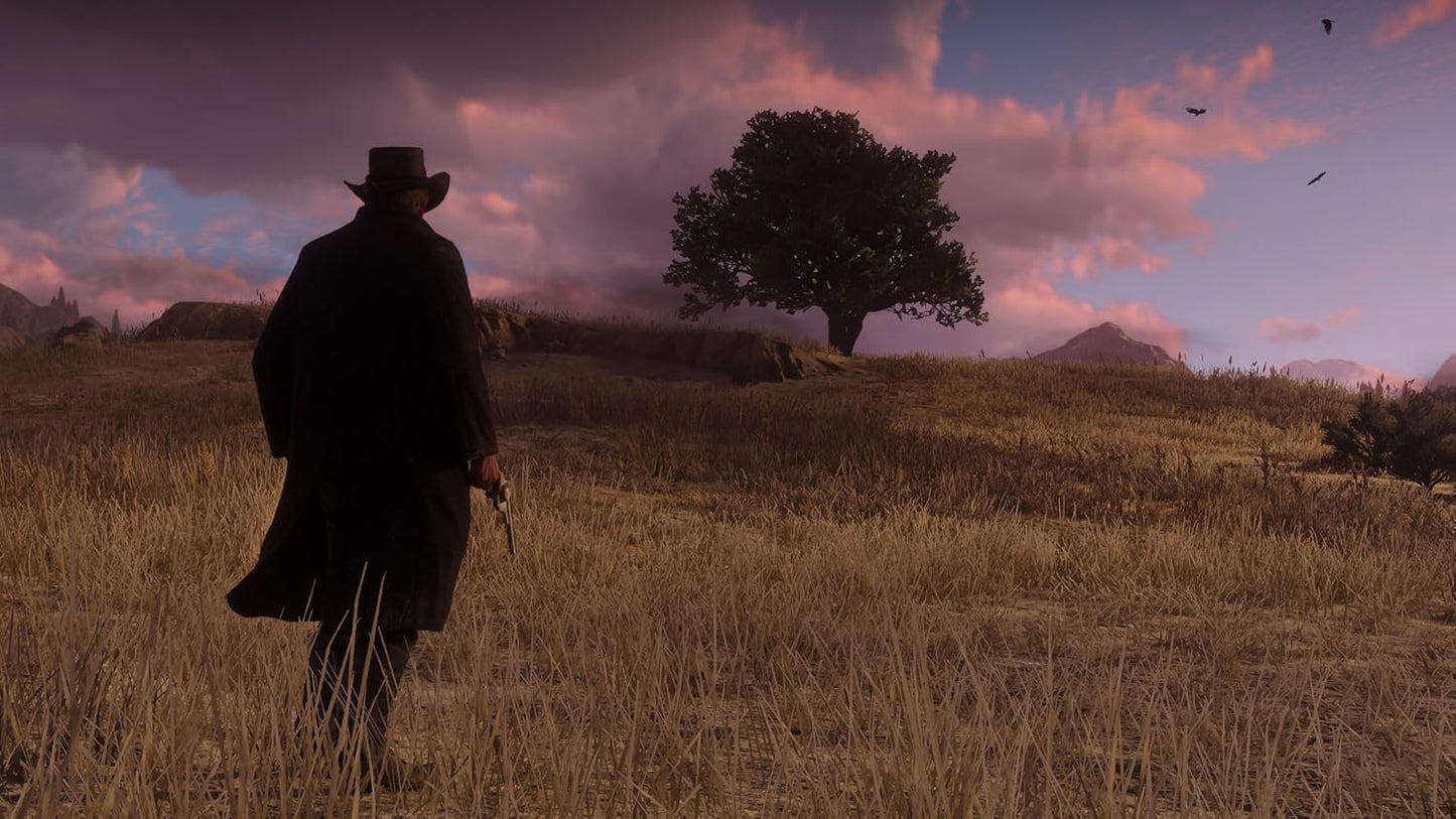 Red Dead Redemption 2 PS4