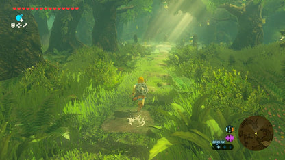The Legend Of Zelda: Breath Of The Wild - Nintendo Switch 2 Edition for Nintendo Switch 2