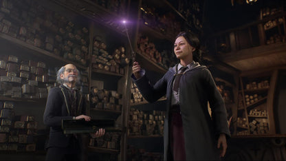 Hogwarts Legacy, Standard Edition, Nintendo Switch