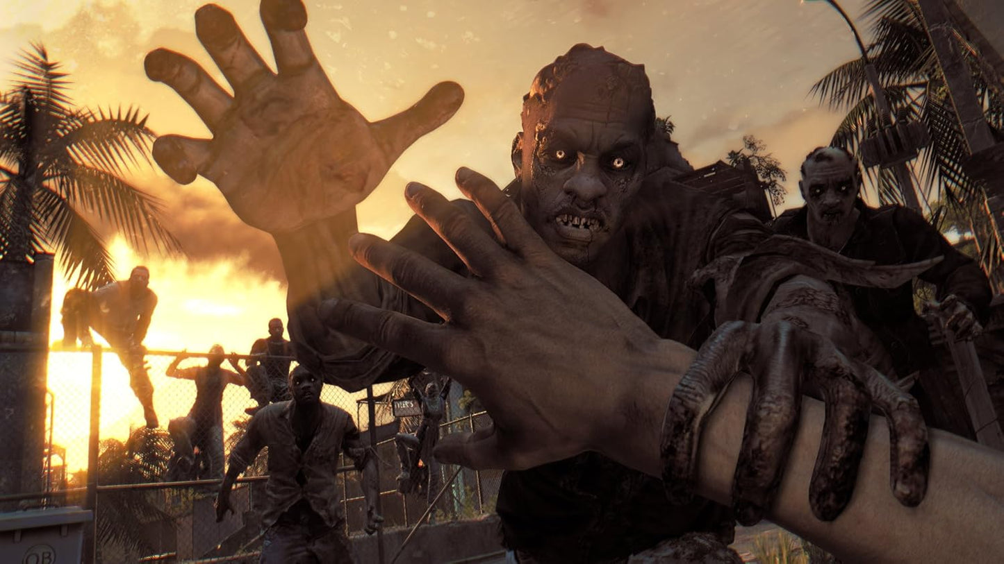 Dying Light (PS4)